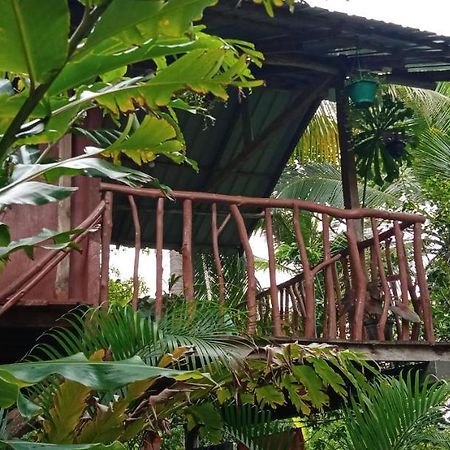 Sigiri Panaromic Tree House Villa Sigiriya Exterior photo