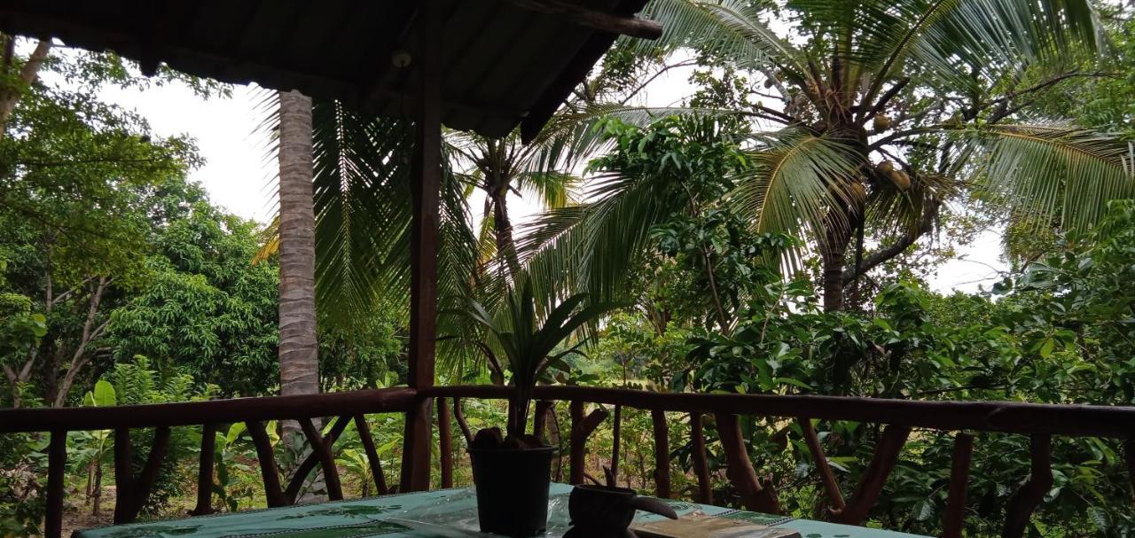 Sigiri Panaromic Tree House Villa Sigiriya Exterior photo