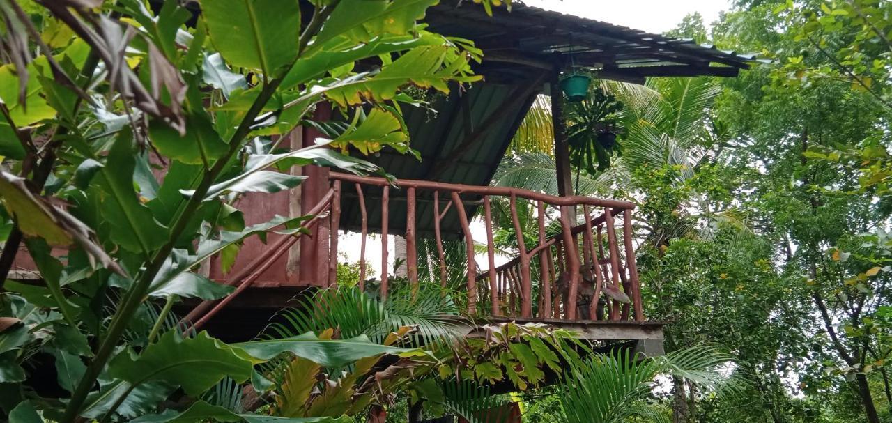 Sigiri Panaromic Tree House Villa Sigiriya Exterior photo