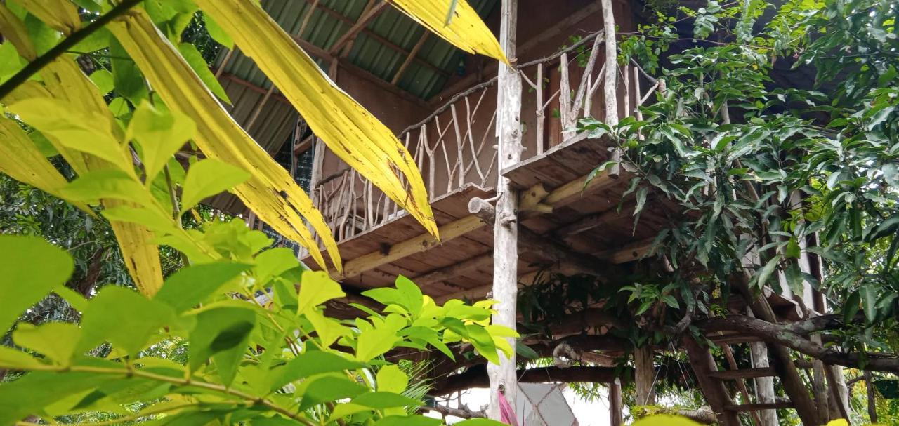 Sigiri Panaromic Tree House Villa Sigiriya Exterior photo