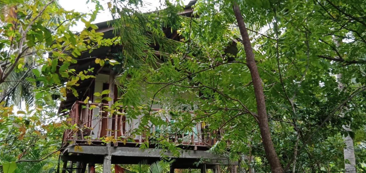 Sigiri Panaromic Tree House Villa Sigiriya Exterior photo
